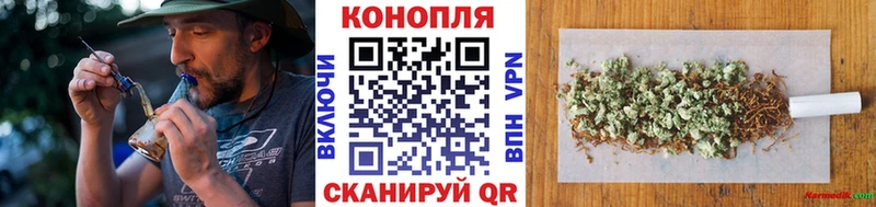 ГАШ Кудрово