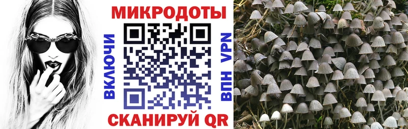 Галлюциногенные грибы Magic Shrooms  mega зеркало  Кудрово 