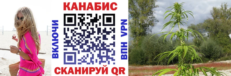 Каннабис марихуана  Кудрово 